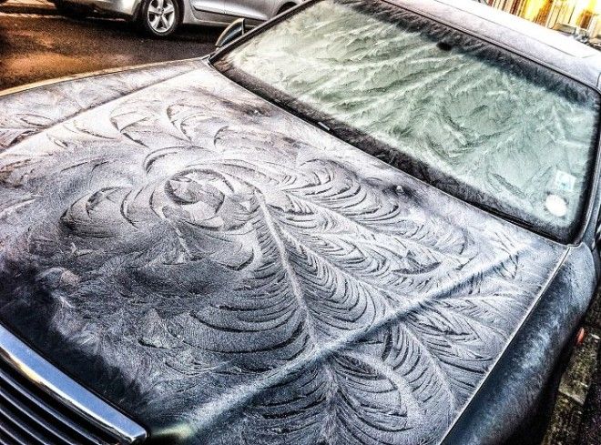 Как мороз превращает автомобили в предметы искусства 56