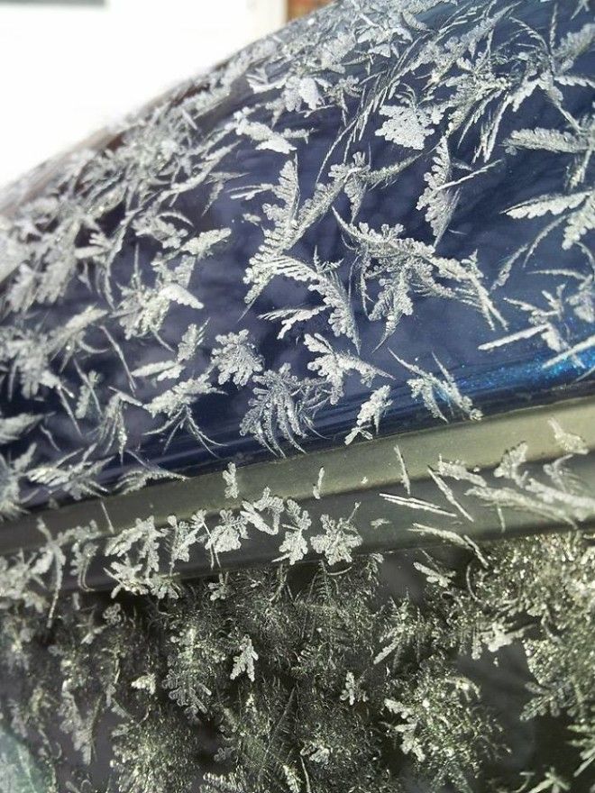 Как мороз превращает автомобили в предметы искусства 48
