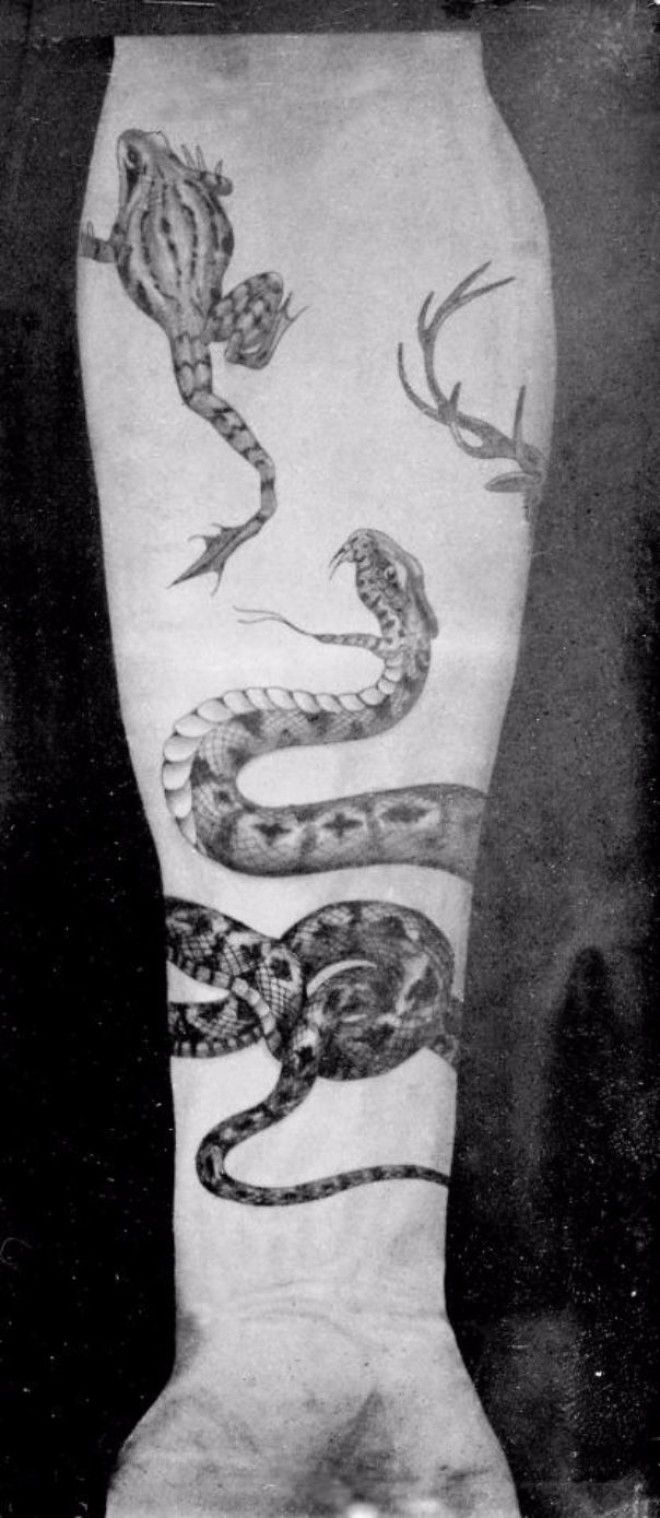 Роскошные татуировки Викторианской эпохи: херувимы, драконы и гербы 36