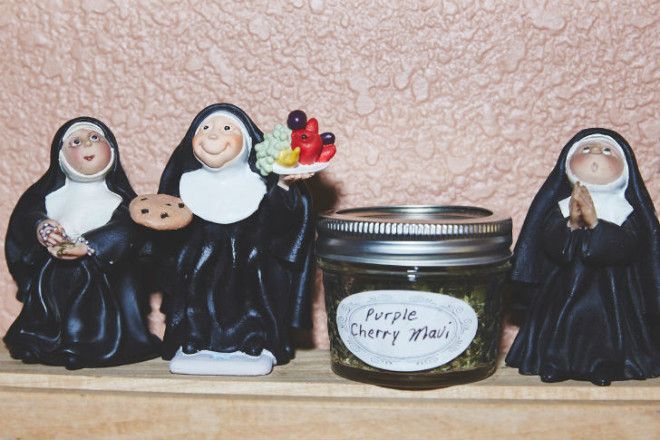 Как калифорнийские монахини выращивают марихуану 45