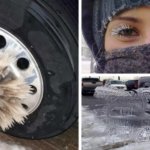 15 удивительных фото, которые доказывают, что зима круче всякого фотошопа