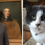 Британец реставрировал картину XVII века, а рядом была его кошка. И ей картина явно не понравилась