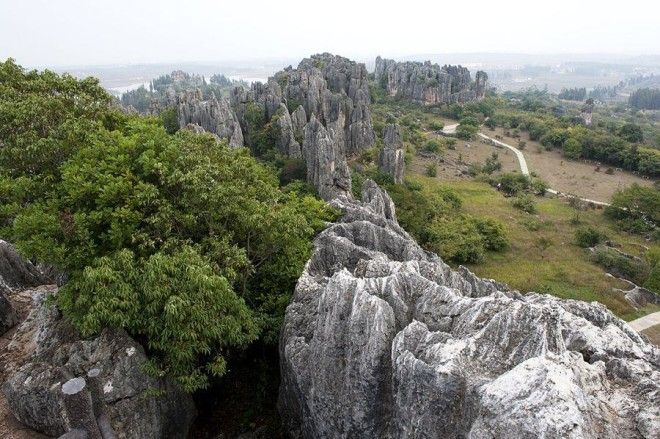 Чудеса света: каменный лес Шилинь в Китае 38