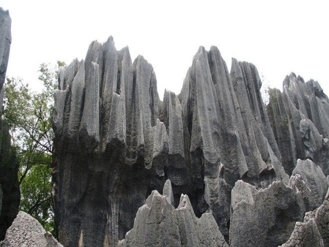 Чудеса света: каменный лес Шилинь в Китае 40