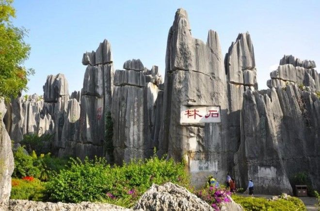 Чудеса света: каменный лес Шилинь в Китае 37