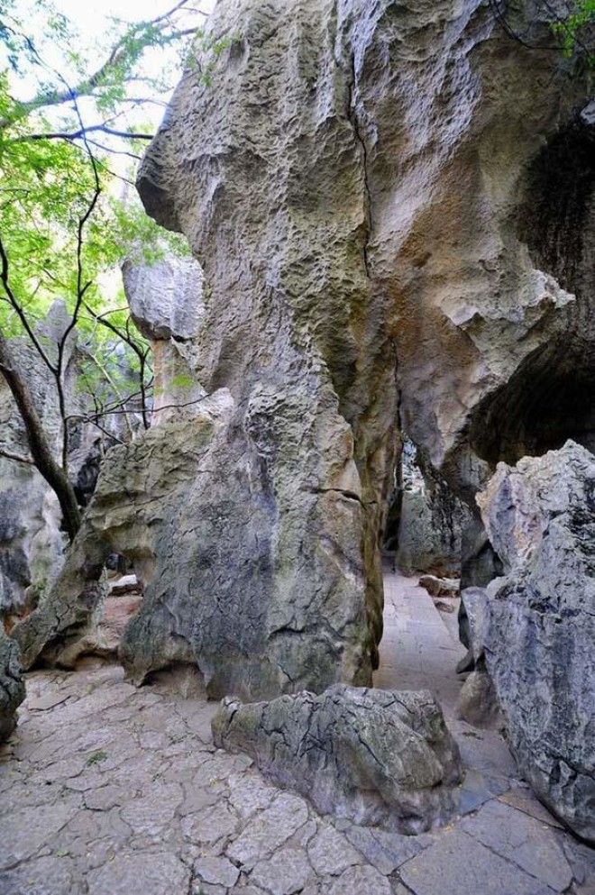 Чудеса света: каменный лес Шилинь в Китае 45