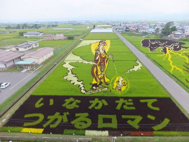 Необыкновенные картины на рисовых полях 33
