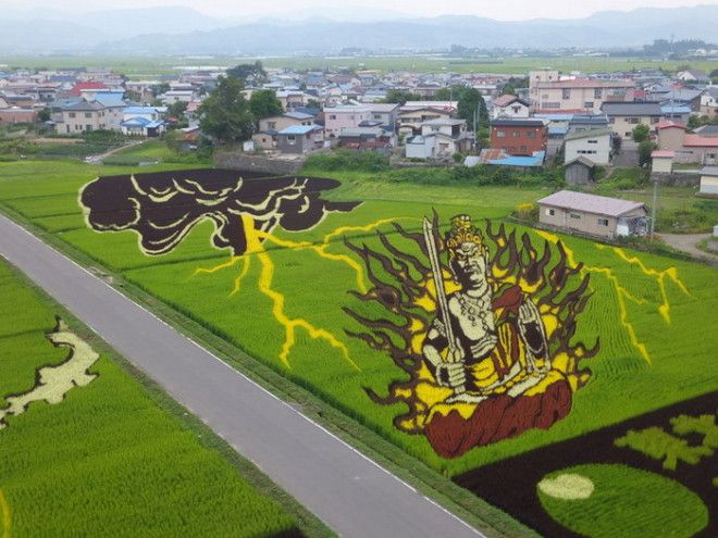 Необыкновенные картины на рисовых полях 35