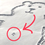 Кто-нарисовал медведя на снегу. Теперь весь мир гадает, как у него появился пупок