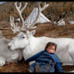 “Верим в духов и шаманов”: как живёт вымирающее племя оленеводов из Монголии