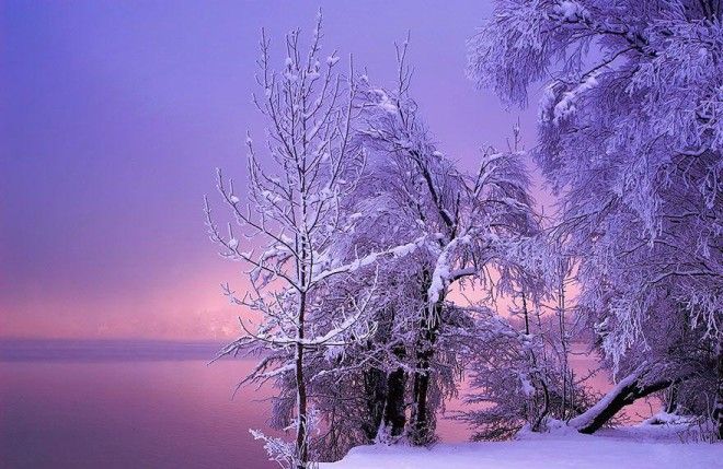 Восхитительные зимние пейзажи 47