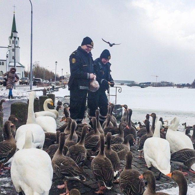 15+ фото, доказывающих, что в Рейкьявике работают самые милые полицейские 37