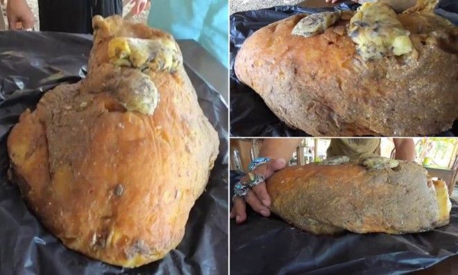 Как найденная рвота кашалота сделала тайца богаче на полмиллиона долларов 7