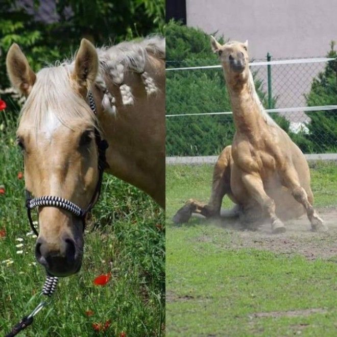 L20 фото показывающих почему нельзя верить красивым снимкам из соцсетей