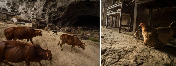“Люди подземелья”: гигантская пещера в Китае, в которой живет целая деревня 21