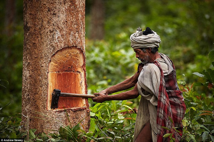 “Последние в своем роде”: как живет последнее поколение первобытного племени в Непале 37