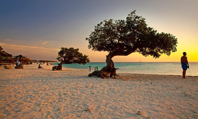 25 лучших пляжей мира — от самых популярных до абсолютно необитаемых 46
