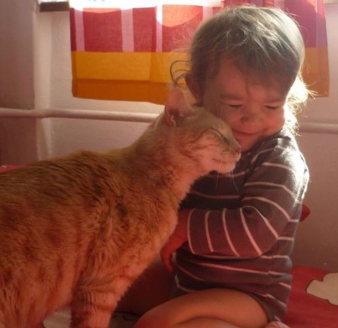 23 очаровательные фотографии, доказывающие, что вашему ребенку нужен кот 44