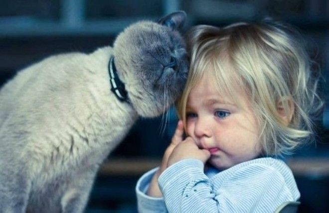 23 очаровательные фотографии, доказывающие, что вашему ребенку нужен кот 48