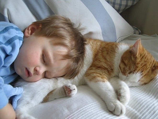 23 очаровательные фотографии, доказывающие, что вашему ребенку нужен кот 44