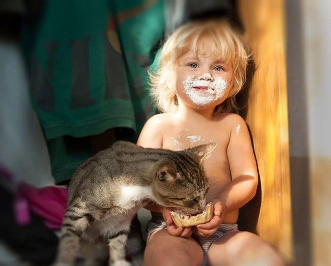 23 очаровательные фотографии, доказывающие, что вашему ребенку нужен кот 46