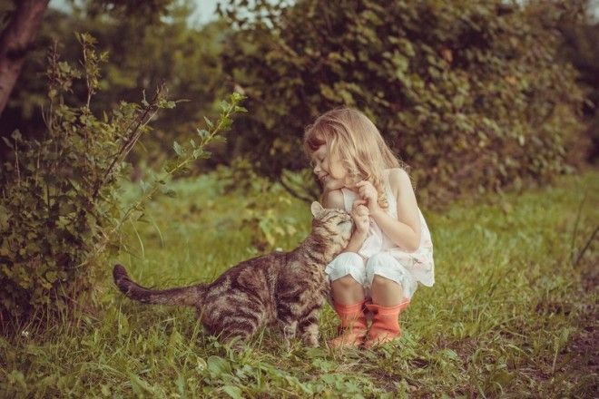 23 очаровательные фотографии, доказывающие, что вашему ребенку нужен кот 51