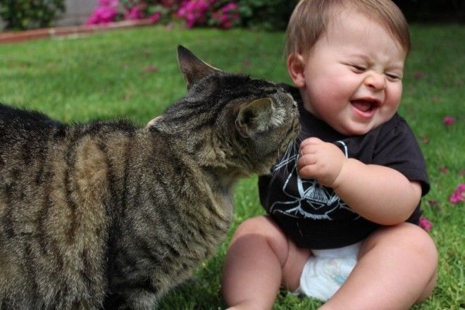 23 очаровательные фотографии, доказывающие, что вашему ребенку нужен кот 52