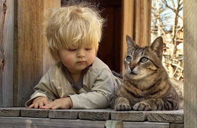 23 очаровательные фотографии, доказывающие, что вашему ребенку нужен кот 34