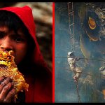“Сладкое золото”: история о том, как добывают дикий мед в Непале