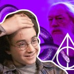 6 самых неожиданных фанатских теорий о Гарри Поттере