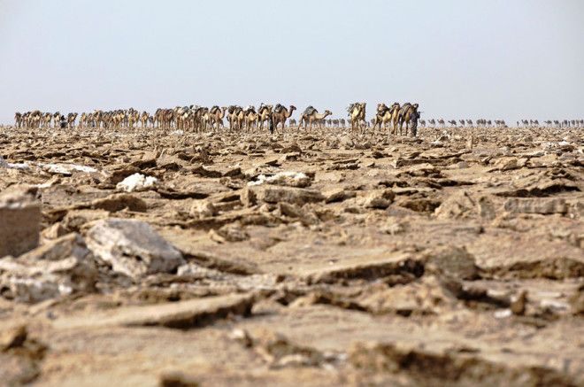 Долина смерти в Эфиопии: как выглядит самое безжизненное место на планете 40