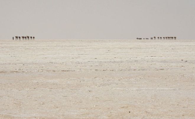 Долина смерти в Эфиопии: как выглядит самое безжизненное место на планете 43