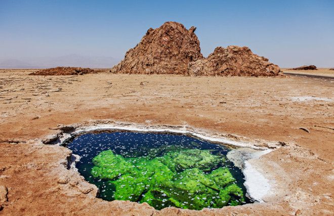 Долина смерти в Эфиопии: как выглядит самое безжизненное место на планете 47