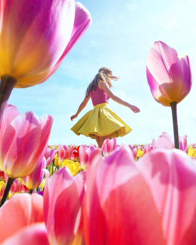 Фотографии из Нидерландов в сезон цветения миллионов тюльпанов 41