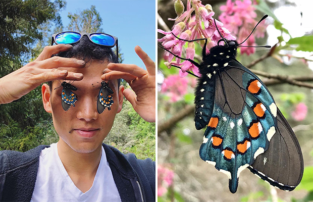 Парень из Сан-Франциско выводит редких бабочек у себя во дворе 22