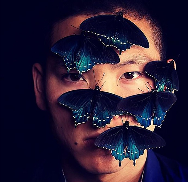 Парень из Сан-Франциско выводит редких бабочек у себя во дворе 23