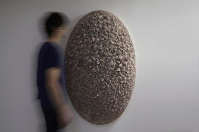 Британский художник создает потрясающие скульптуры из тысяч ракушек 32