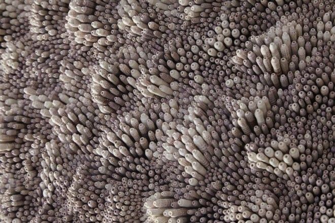 Британский художник создает потрясающие скульптуры из тысяч ракушек 33