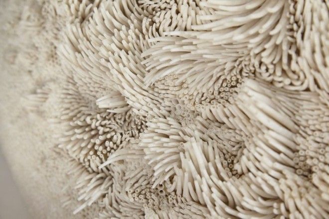 Британский художник создает потрясающие скульптуры из тысяч ракушек 35