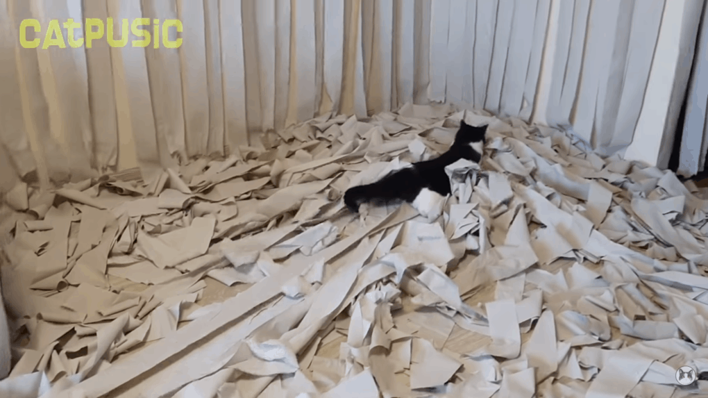 Хозяева сделали коту игровую комнату из сотни рулонов туалетной бумаги, и это настоящий кошачий рай 43