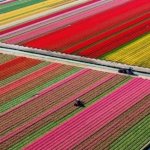 15 мест на Земле, где правит цвет
