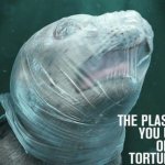 Животные в плену полиэтилена – реклама, которая не оставит равнодушным
