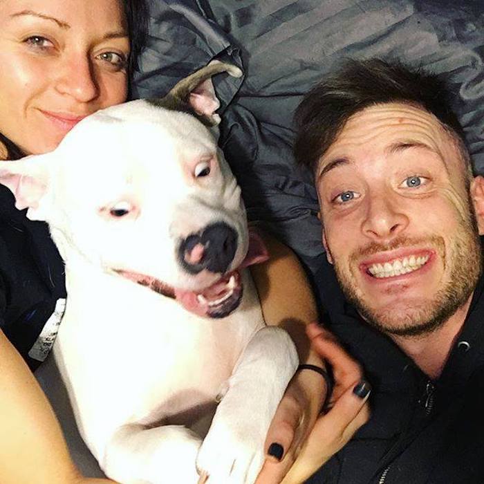 Пара выставила фото со своим псом, а через два часа к ним уже стучала полиция 36