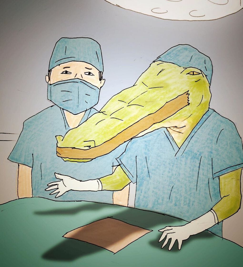 Художник из Японии показал, какой сложной была бы жизнь крокодилов в мире людей 99