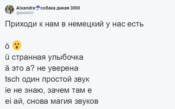 В Твиттере новый тренд: Люди делятся трудностями родного языка. Русский тоже там! 79