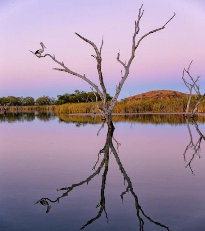 Невероятные пейзажи Западной Австралии глазами Бена Броуди 32