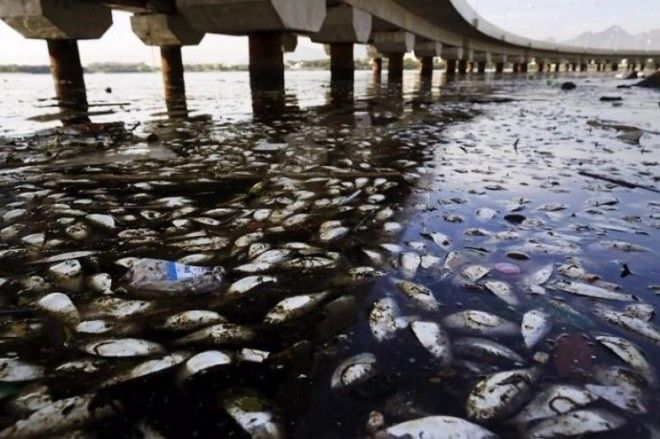 Тревожные фото, показывающие, насколько загрязнены водные ресурсы Земли 53