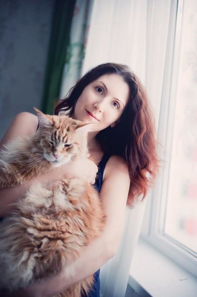 Мегапозитив: веселая история о дрессуре котиков и их хозяев 19