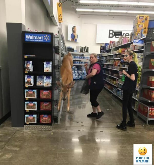 18+ отчаянных шопперов, которые пришли закупиться в магазин Walmart 99