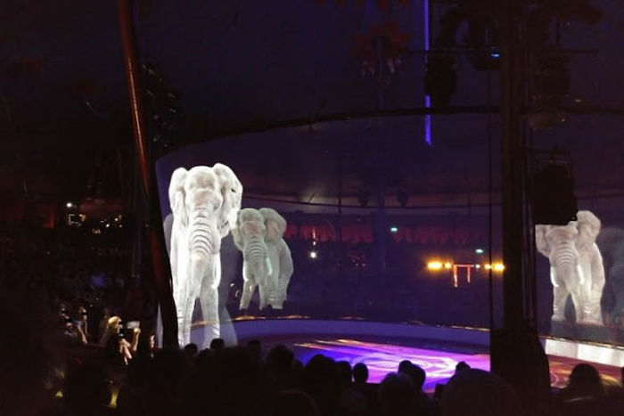 «Идеальное решение»: немецкий цирк использует голограммы вместо живых животных 26